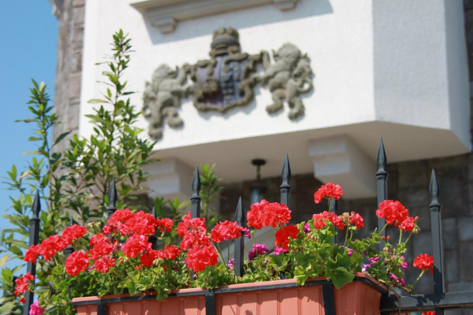 Hotel Lacetate Pitesti Exterior photo