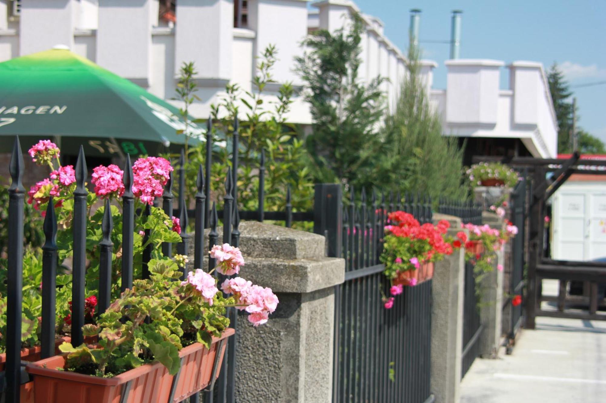 Hotel Lacetate Pitesti Exterior photo