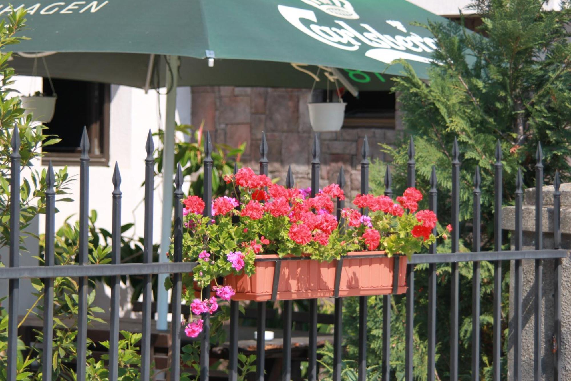 Hotel Lacetate Pitesti Exterior photo